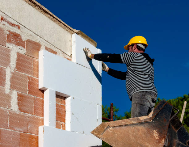 Best Affordable Insulation Services  in Azalea Park, FL