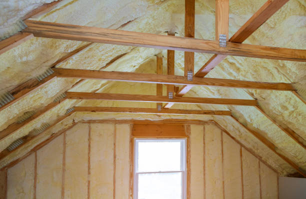 Best Insulation Contractors for Homes  in Azalea Park, FL
