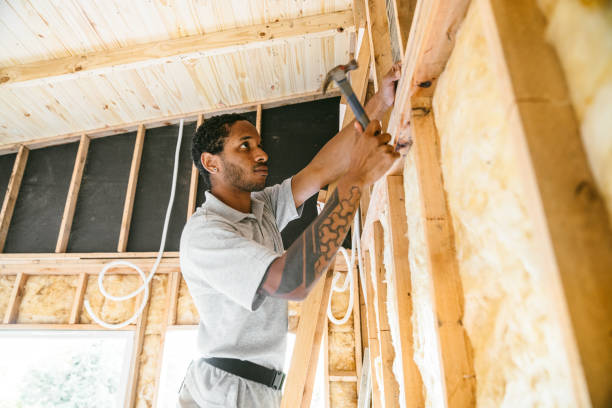 Best Spray Foam Insulation  in Azalea Park, FL
