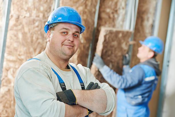 Best Insulation Inspection Services  in Azalea Park, FL