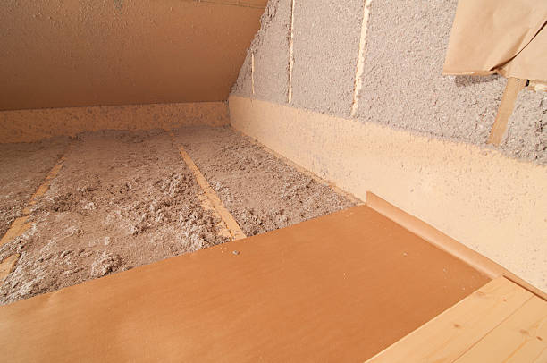 Best Wall Insulation Contractor  in Azalea Park, FL